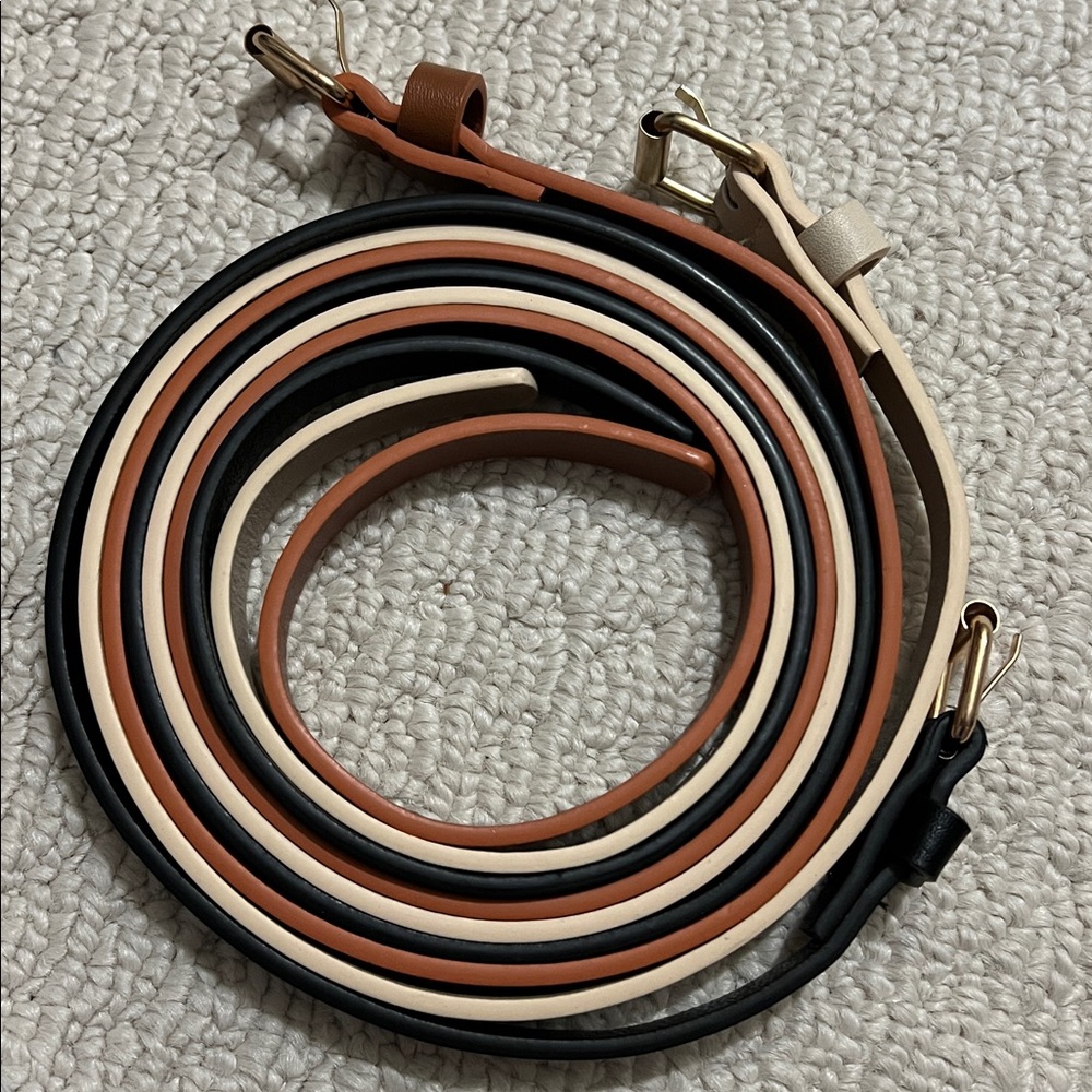 Set of 3 Multicolor Faux Leather Belts in Earth Tones